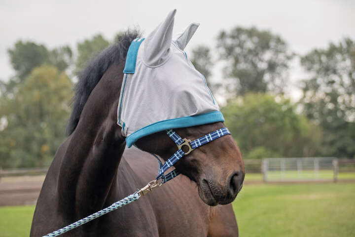 KANTRIE Fliegenmaske Protect